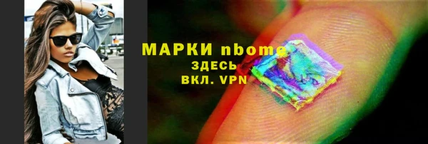 стаф Новокубанск