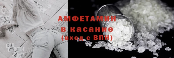 гашик Новозыбков