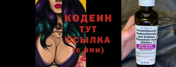 гашик Новозыбков