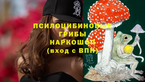 а пвп мука Алзамай