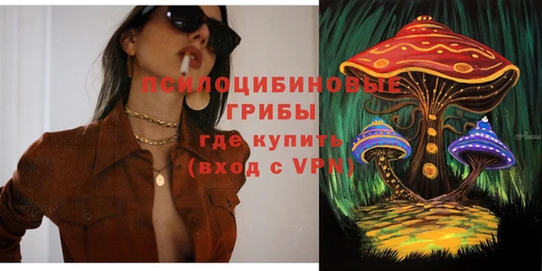 винт Алексеевка