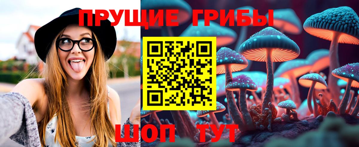 Анжеро-Судженск  Галлюциногенные грибы прущие грибы  Вход с VPN 